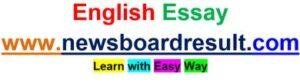Your ( My ) Town- Most Important English Essay- UP Board NCERT English Essay writing